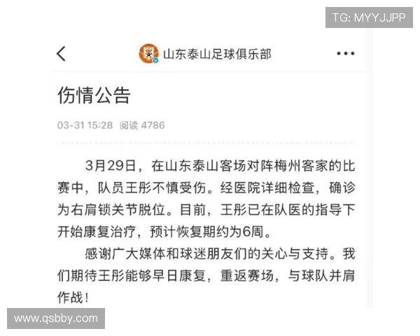 以球探比分为核心的专业体育赛事数据分析与预测平台服务广大球迷用户